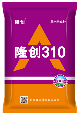 隆創(chuàng)310