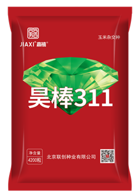 昊棒311